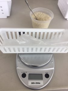 Weighing Rice
